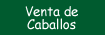 montar a montar a caballo Caballerizas Biku&ntilde;a vitoria alava